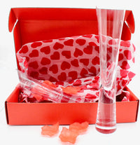 My House by Marine Champagne glasses Romantic Hand-Blown Crystal Champagne Flutes Set with Rose Petals in Elegant Red Box