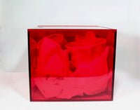 My House by Marine Coffee & Tea Mugs Ultimate Luxury Gift Box with 2 Modern Octagonal Ceramic Mugs