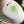 My House by Marine dining plates set 8 Japanese Ceramic Plate Set Off-White with Green Glaze Accents for Modern Decor
