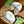My House by Marine dining plates set 8 Japanese Ceramic Plate Set Off-White with Green Glaze Accents for Modern Decor