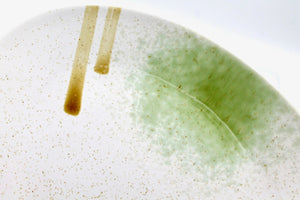 My House by Marine dining plates set 8 Japanese Ceramic Plate Set Off-White with Green Glaze Accents for Modern Decor