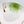 My House by Marine dining plates set 8 Japanese Ceramic Plate Set Off-White with Green Glaze Accents for Modern Decor