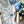 My House by Marine dining plates set Elegant Set of Hand-Painted Pale Blue Dessert Plates - Exotic Moroccan Pattern for Sophisticated Dining