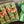 My House by Marine fabric placemats Sophisticated Set of Linen Placemats in Green Orange for Chic Dining