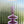 My House by Marine Glass Candleholders CA127-Mauve Small Cobalt Blue and Purple Glass Candlesticks for Romantic Coffee Table Decor