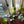 My House by Marine Glass Candleholders Turquoise & Green Glass Candelabra: Modern Coffee Table Centerpiece