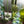My House by Marine Glass Candleholders Turquoise & Green Glass Candelabra: Modern Coffee Table Centerpiece