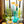 My House by Marine Glass Candleholders Turquoise & Green Glass Candelabra: Modern Coffee Table Centerpiece
