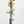 My House by Marine sun catchers Vibrant Whimsical Suncatchers: Glass & Brass Ornaments for Windows, Christmas Trees and Decor