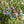My House by Marine sun catchers Vibrant Whimsical Suncatchers: Glass & Brass Ornaments for Windows, Christmas Trees and Decor