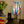 My House by Marine table lamp Stained Glass Bedside Lamp: Art Deco Touch Control Table Lamp in Red & Blue