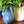 My House by Marine Vintage Ceramic pitchers/vases Farmhouse Ceramic pitchers/vases for the contemporary Home