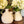 My House by Marine Vintage Ceramic pitchers/vases Farmhouse Ceramic pitchers/vases for the contemporary Home