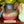 My House by Marine Vintage Ceramic pitchers/vases Farmhouse Ceramic pitchers/vases for the contemporary Home
