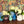 My House by Marine Vintage Ceramic pitchers/vases Farmhouse Ceramic pitchers/vases for the contemporary Home