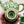 My House by Marine Vintage ceramic teapot set Vintage Bright Apple Green Teapot Set with Woven Basket and 4 Cups