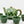My House by Marine Vintage ceramic teapot set Vintage Bright Apple Green Teapot Set with Woven Basket and 4 Cups