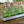 My House by Marine Water/Juice Glasses Hand Blown White Dot Colorful Glassware Tumbler Sets
