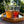 My House by Marine Water/Juice Glasses Modern Hand-blown Tumbler Sets with 3D Dots for the Modern Table